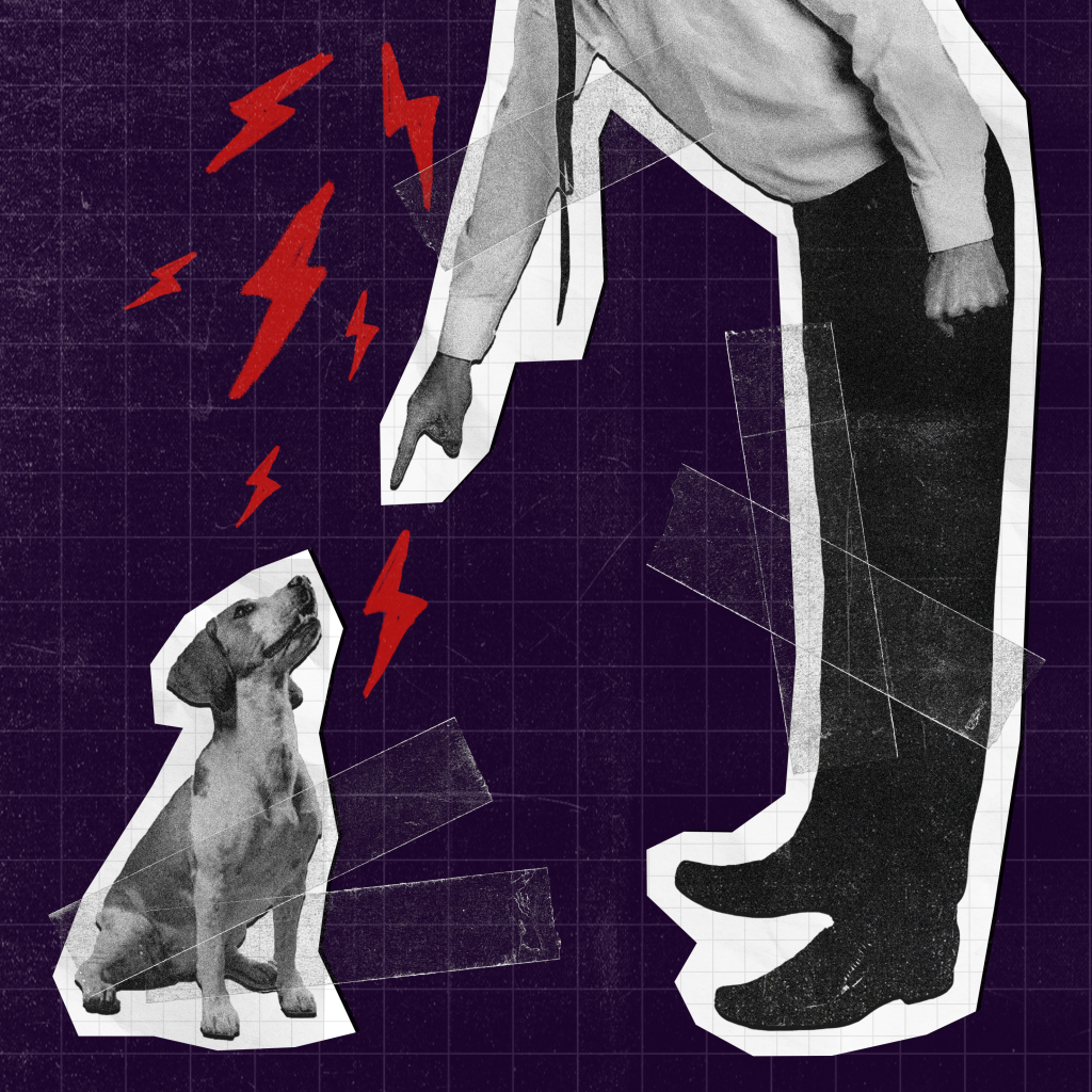 Collage-style graphic on a dark purple grid background. A black-and-white adult figure points downward at a seated dog looking up. Red lightning bolt shapes between them suggest scolding or tension. The figures have thick white cut-out outlines and pieces of translucent tape over the image.